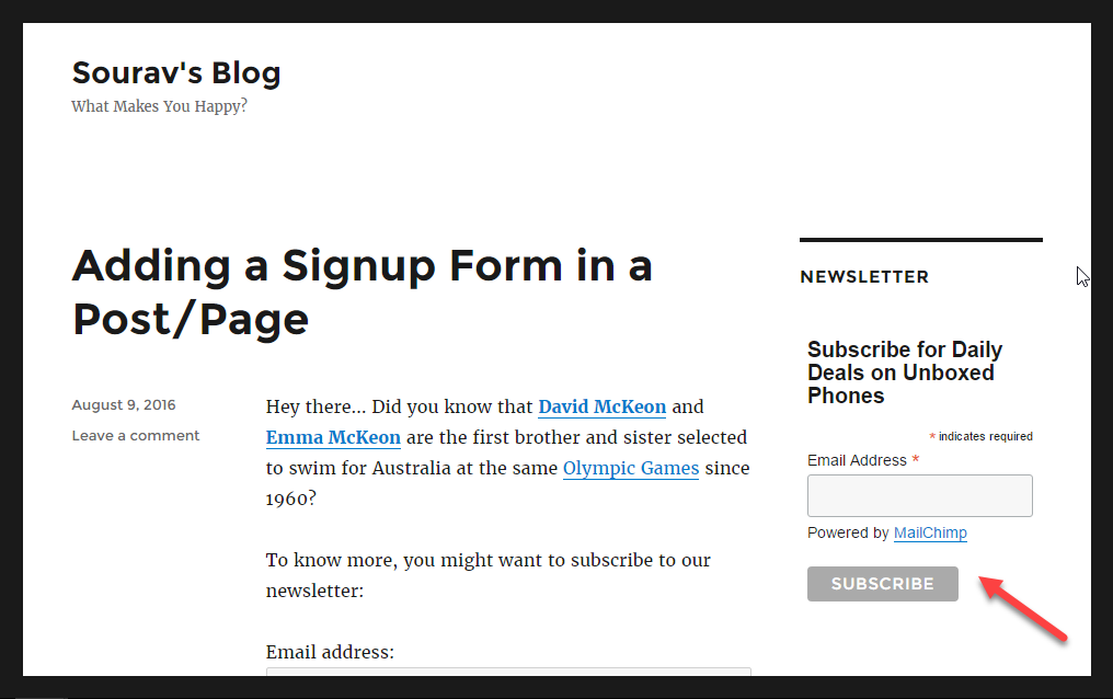 screenshot showing the live signup form created from the WordPress widget