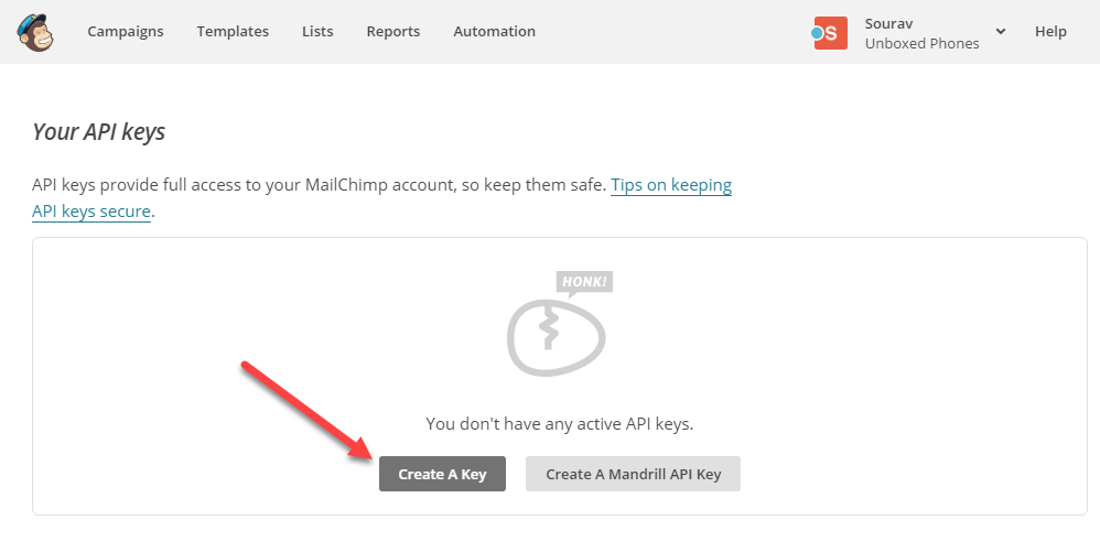 screenshot of the MailChimp API generation page