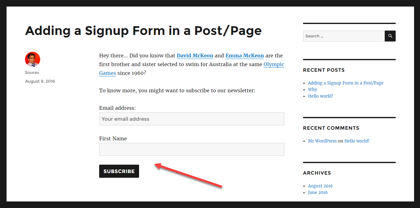 screenshot of the newsletter signup form created by a shortcode using MailChimp for WordPress plugin.