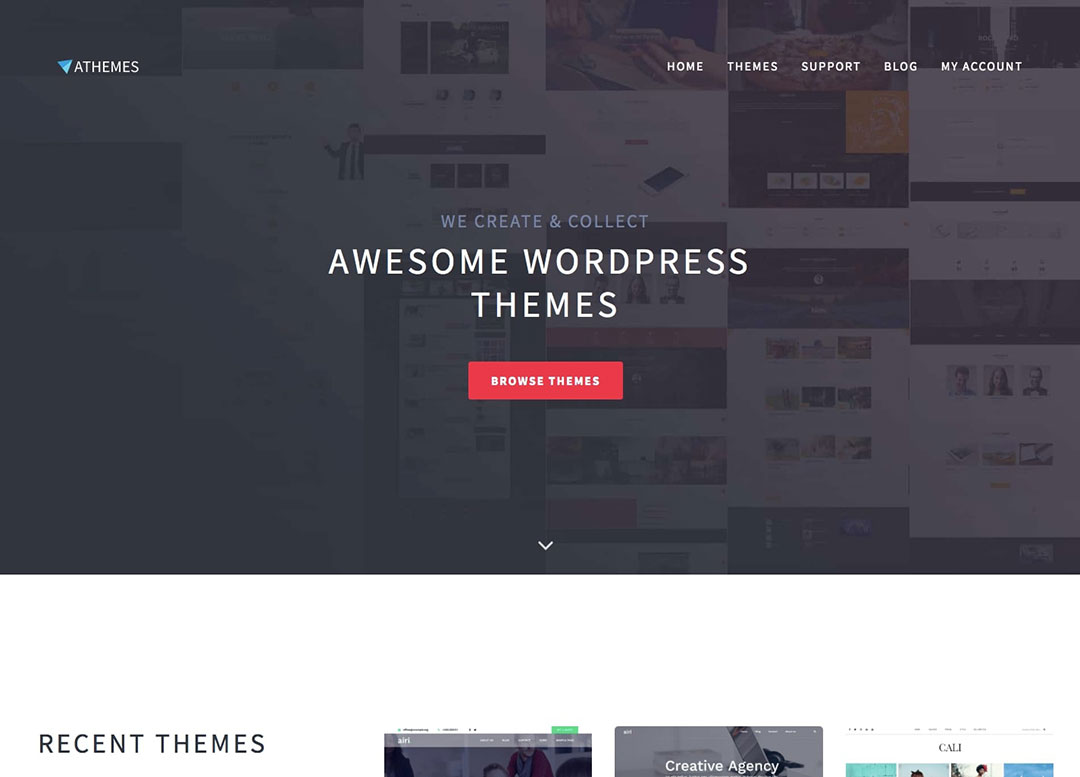 Where To Buy Top-Quality WordPress Themes - WinningWP