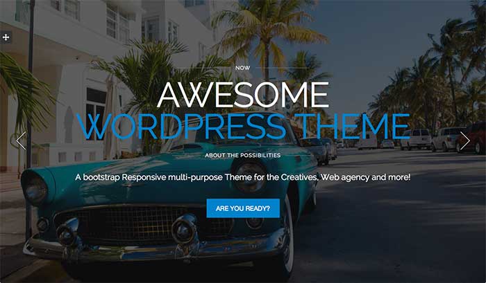 Alpine - WordPress-tema på en sida