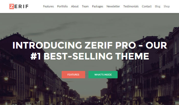 Zerif Pro Demo Version