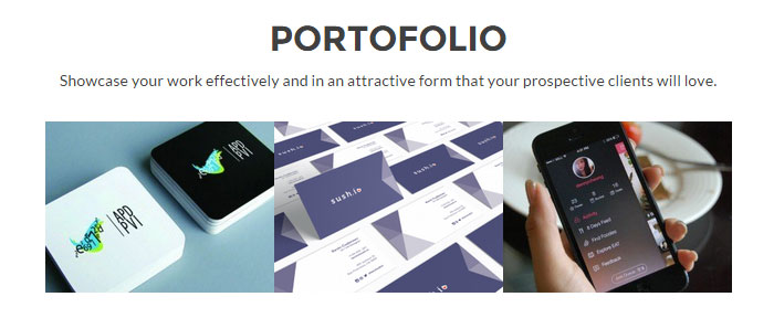 Zerif Pro Portfolio Section