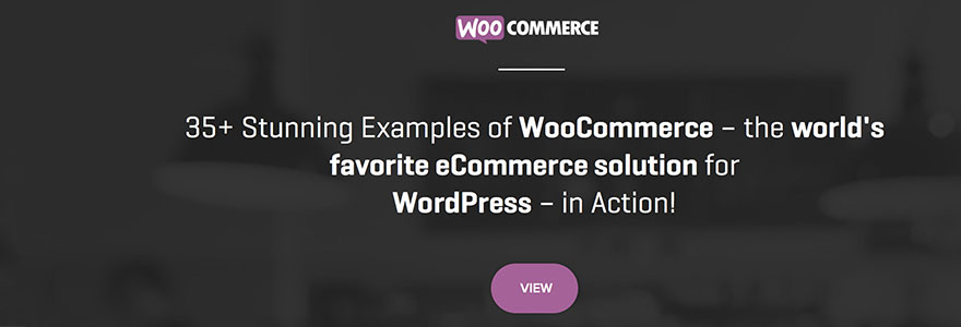 Examples of Websites Using WooCommerce
