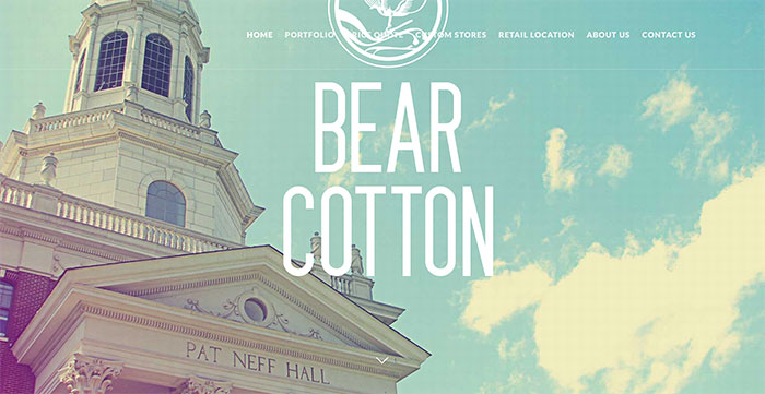 Bear Cotton