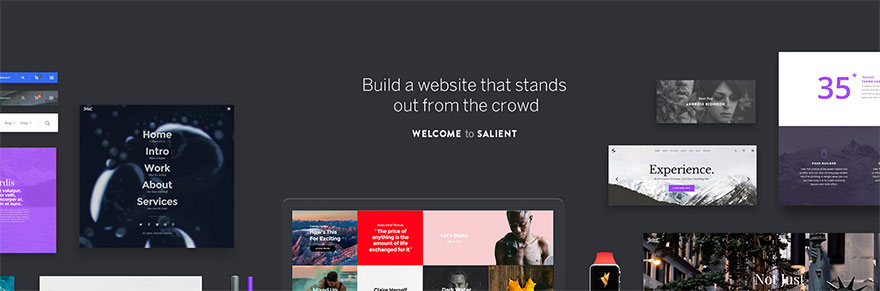 Examples of Sites Built with the Salient WordPress Theme