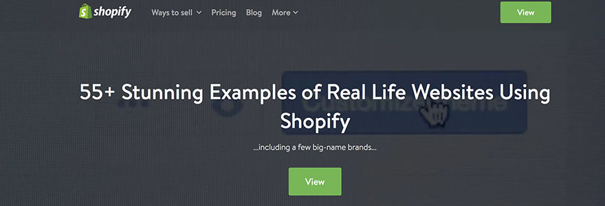 Examples of Websites Using Shopify