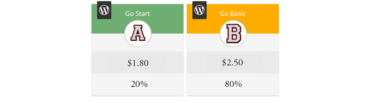 Pricing Experiment