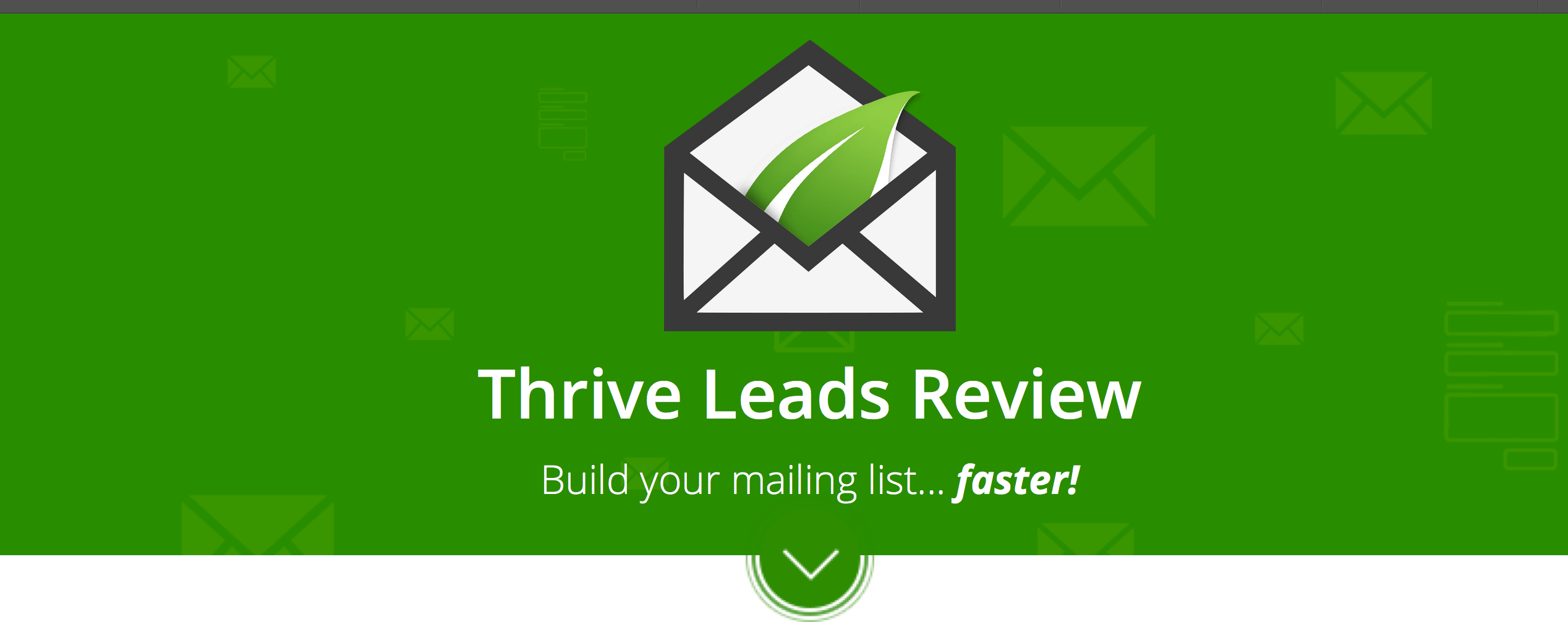 Thrive Leads Review