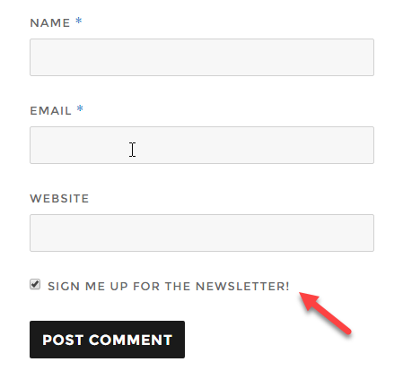 screenshot showing newsletter signup option in WordPress comment form