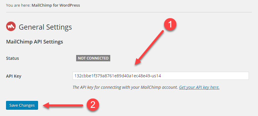 screenshot of pasting the API key in the MailChimp for WordPress plugin