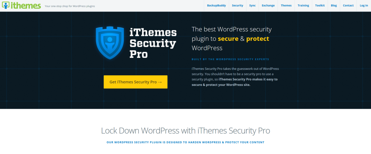 ithemes-security-pro