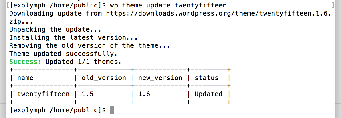 Updating a WordPress theme via the command line using WP-CLI.