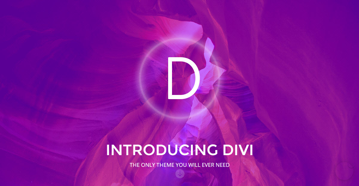 Divi from Elegant Themes