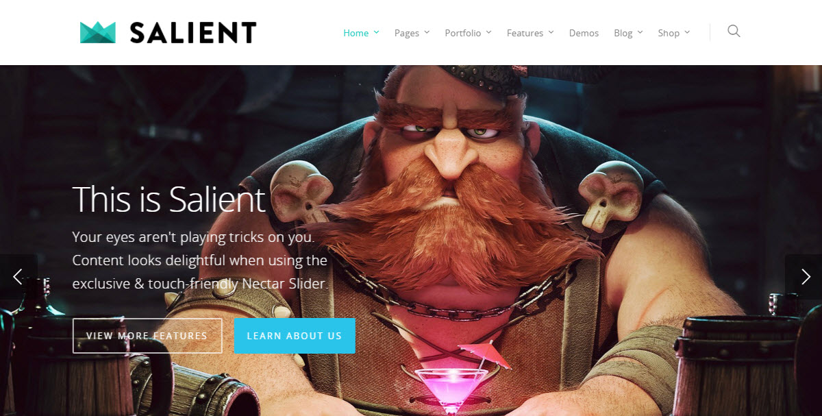 Salient Popular Multi-Purpose WordPress Theme