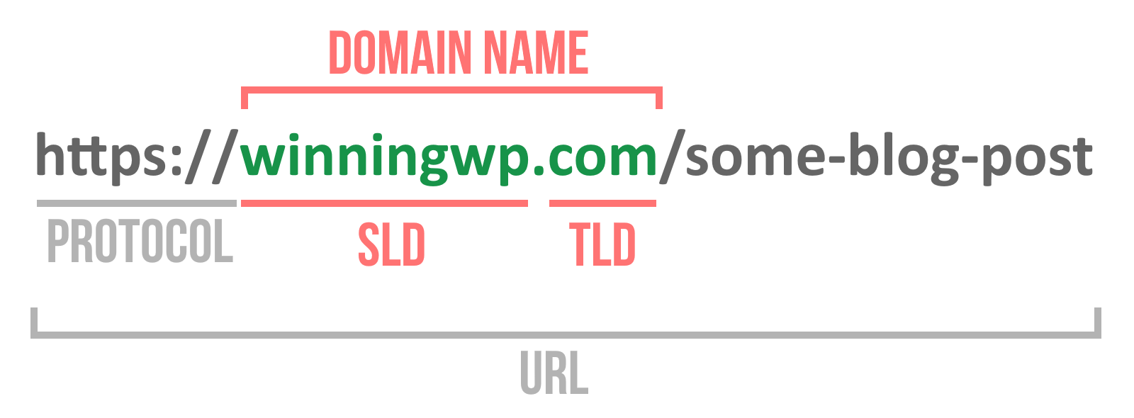 Что такое dns uri url