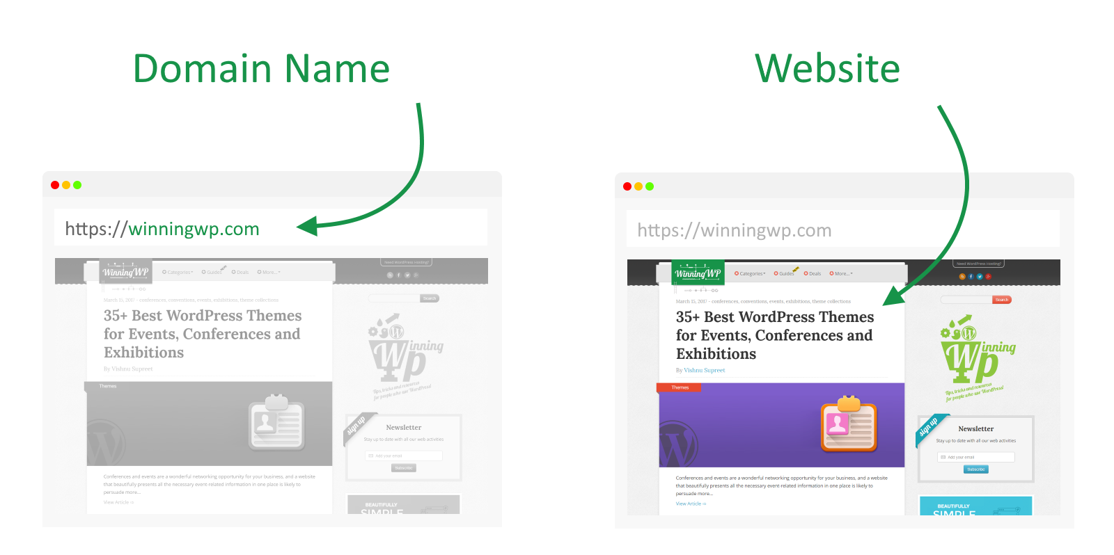 The difference between a website and a domain name.