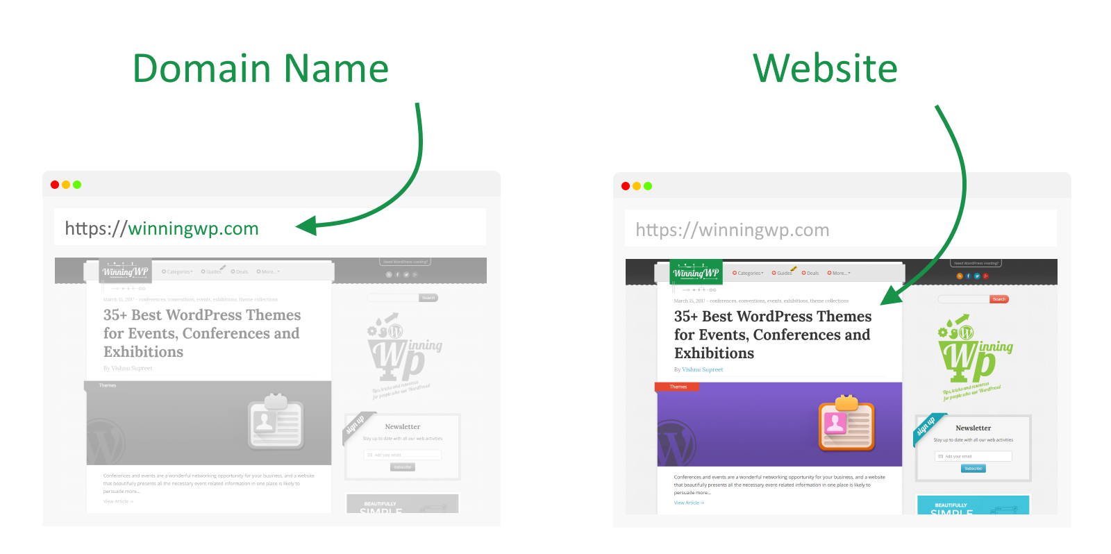 What's the Difference Between A Domain Vs. Website?