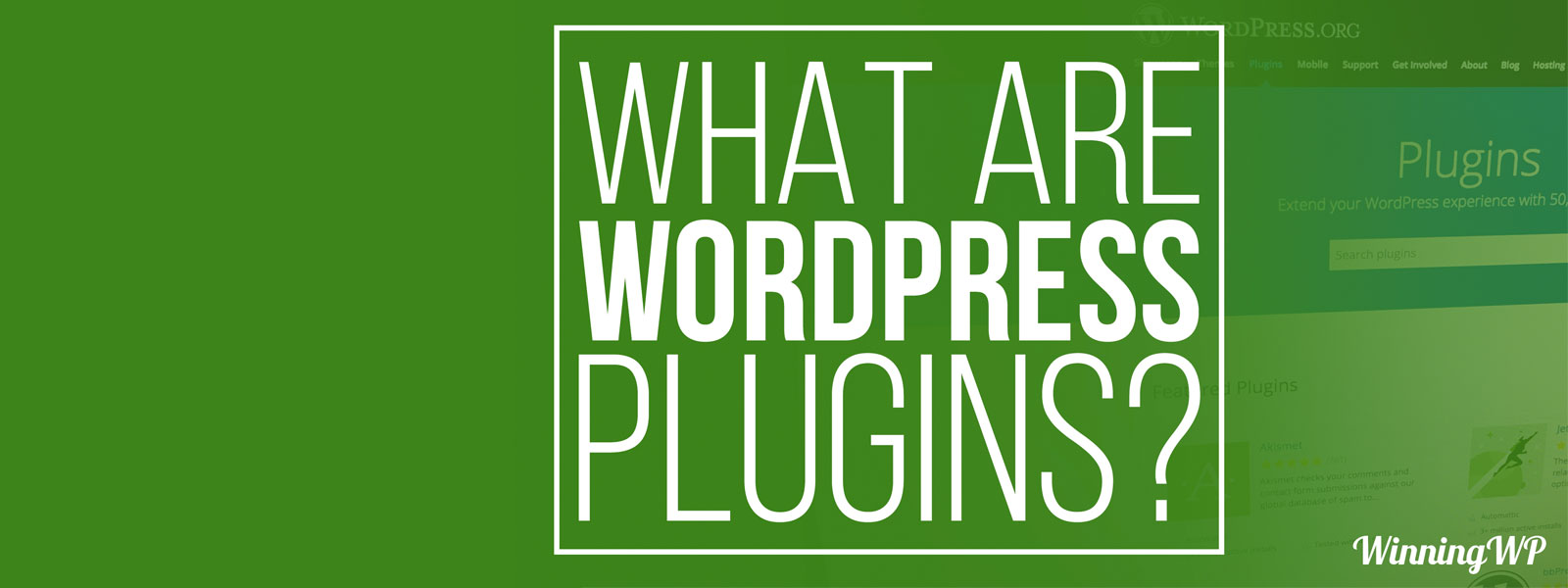 What are WordPress Plugins?