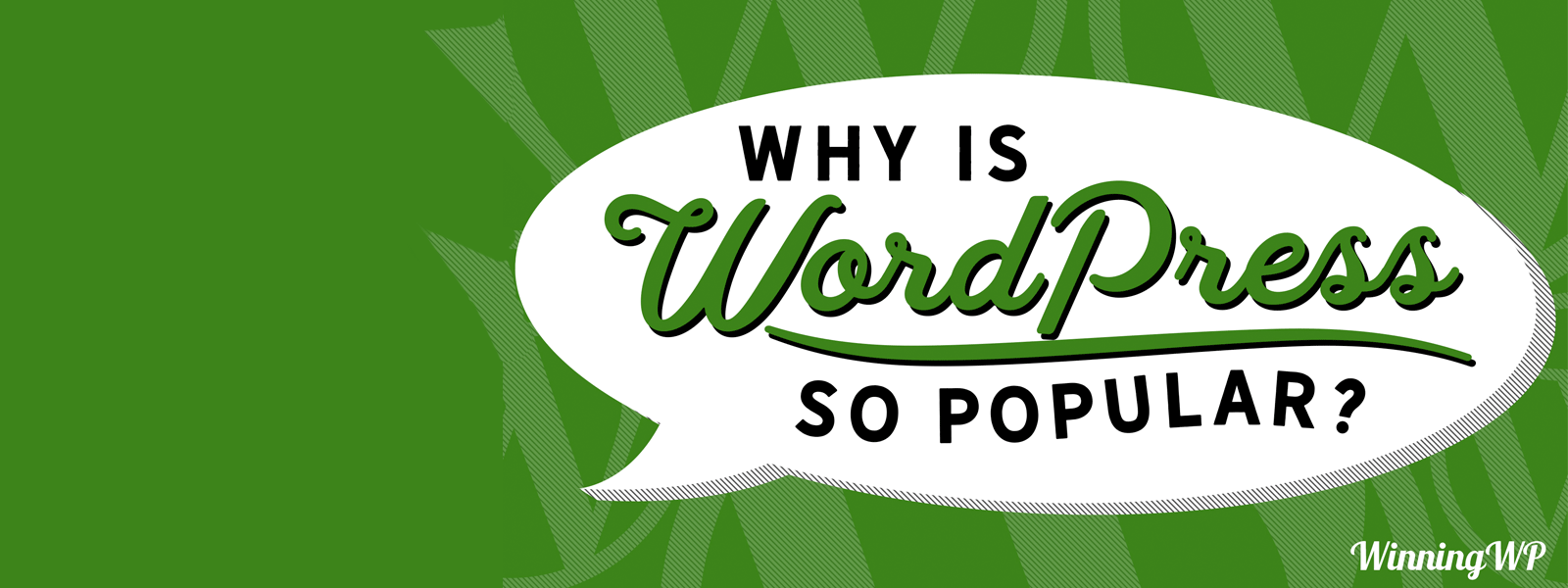 Why is WordPress so Popular?