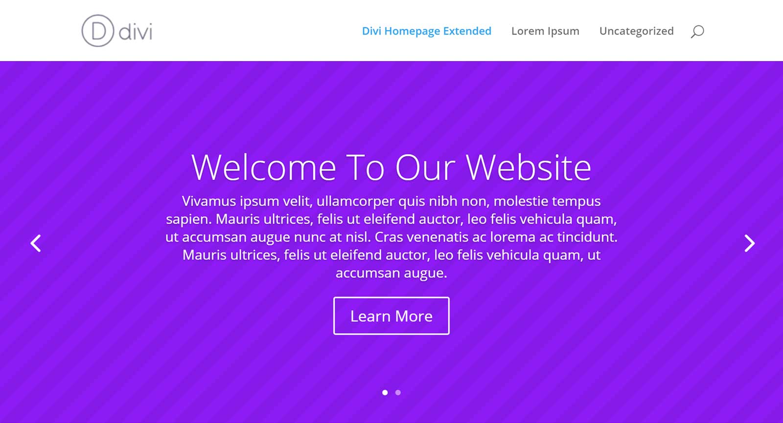 Divi WordPress Theme Test Page Example
