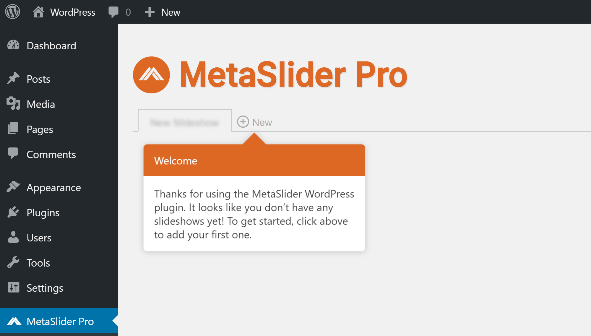 Getting Started with MetaSlider