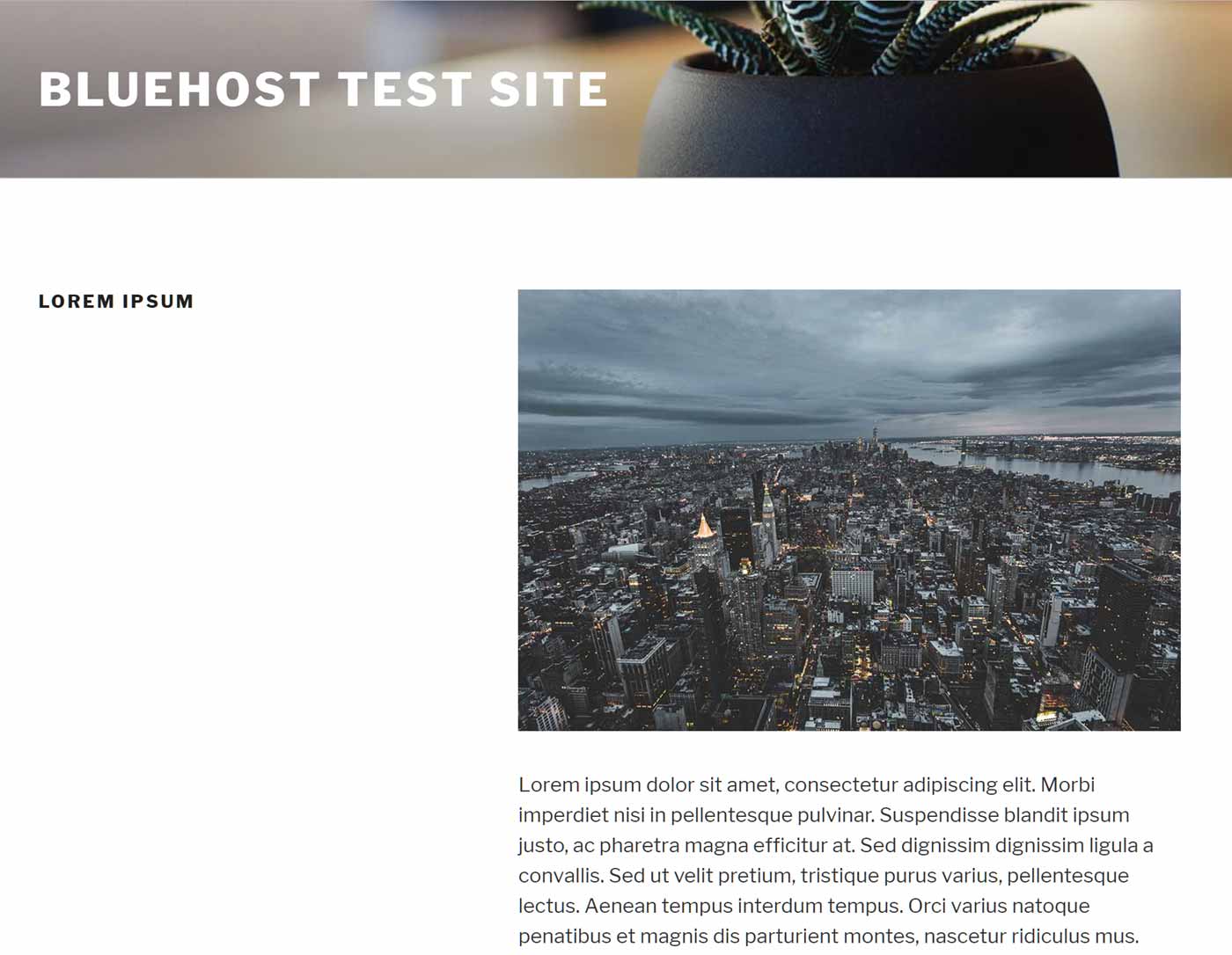 2017 Theme Test Page Screenshot