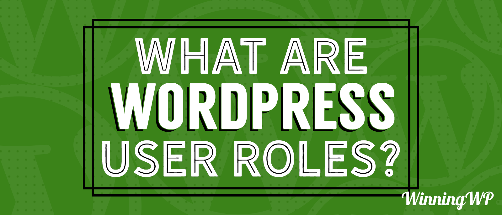 What are WordPress User Roles?