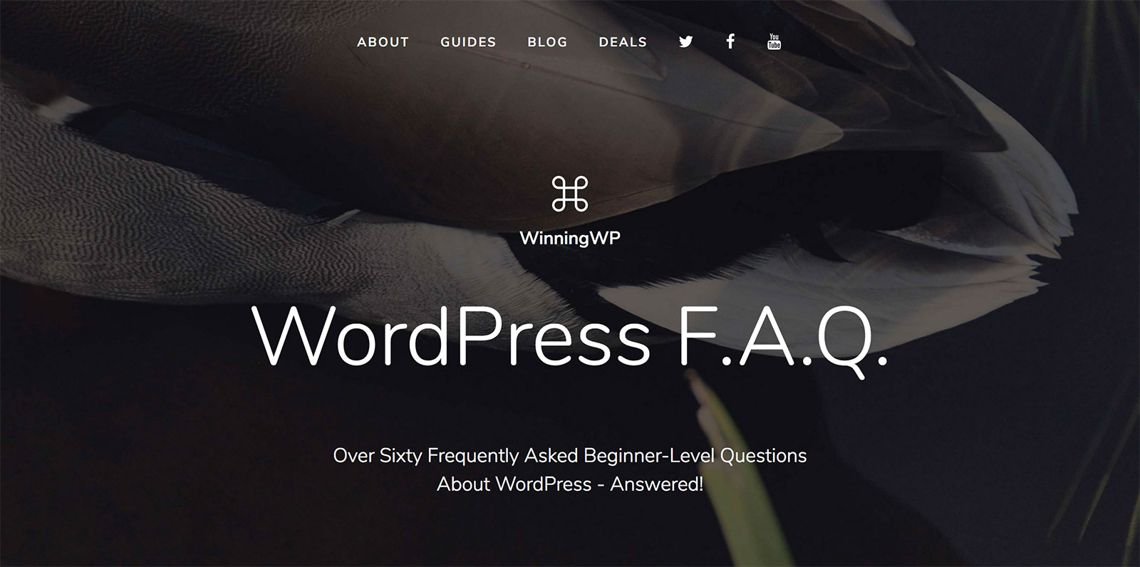 wordpress-faq