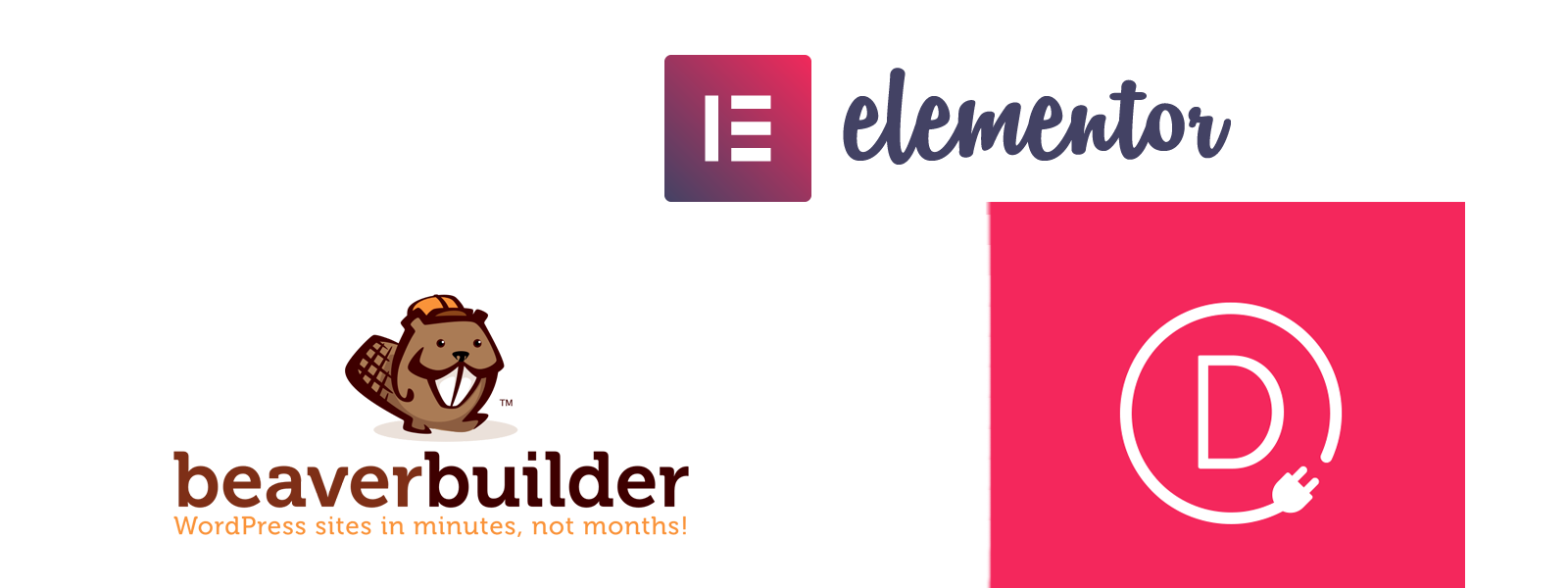 Divi Builder, Beaver Builder or Elementor WordPress Plugins