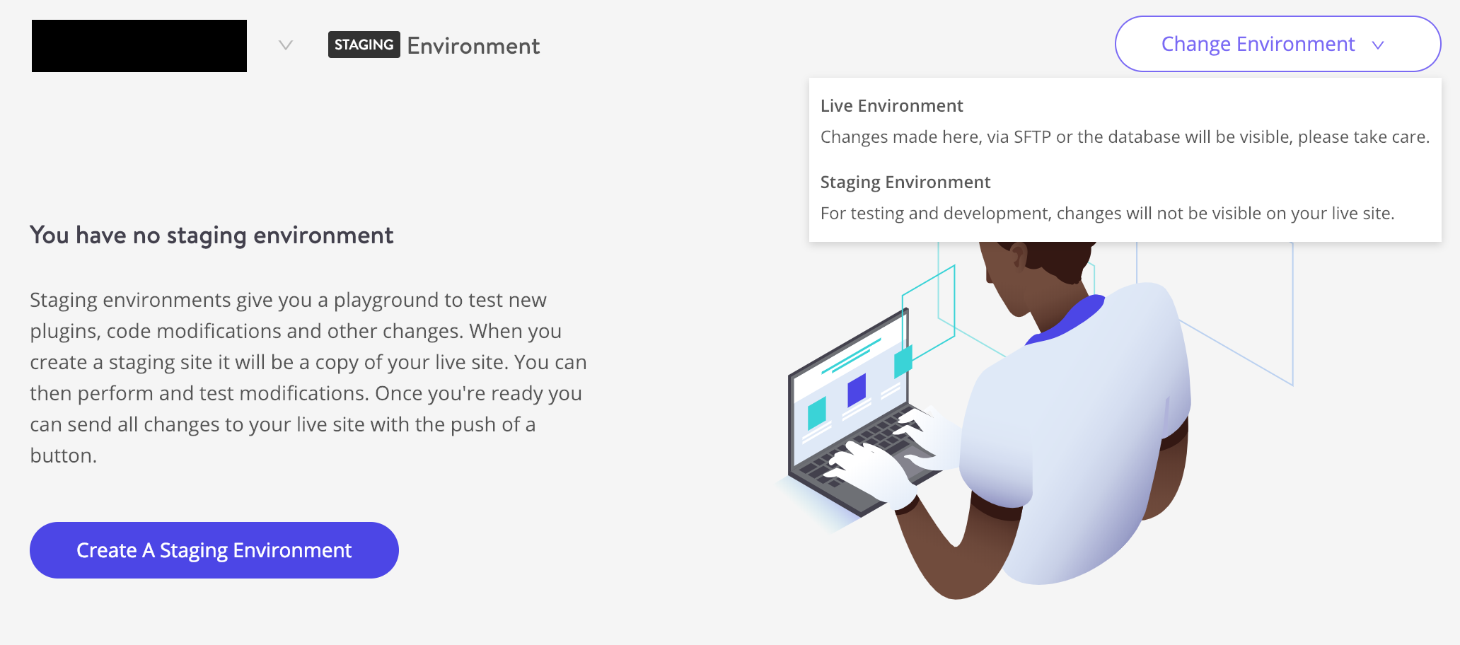 staging Kinsta