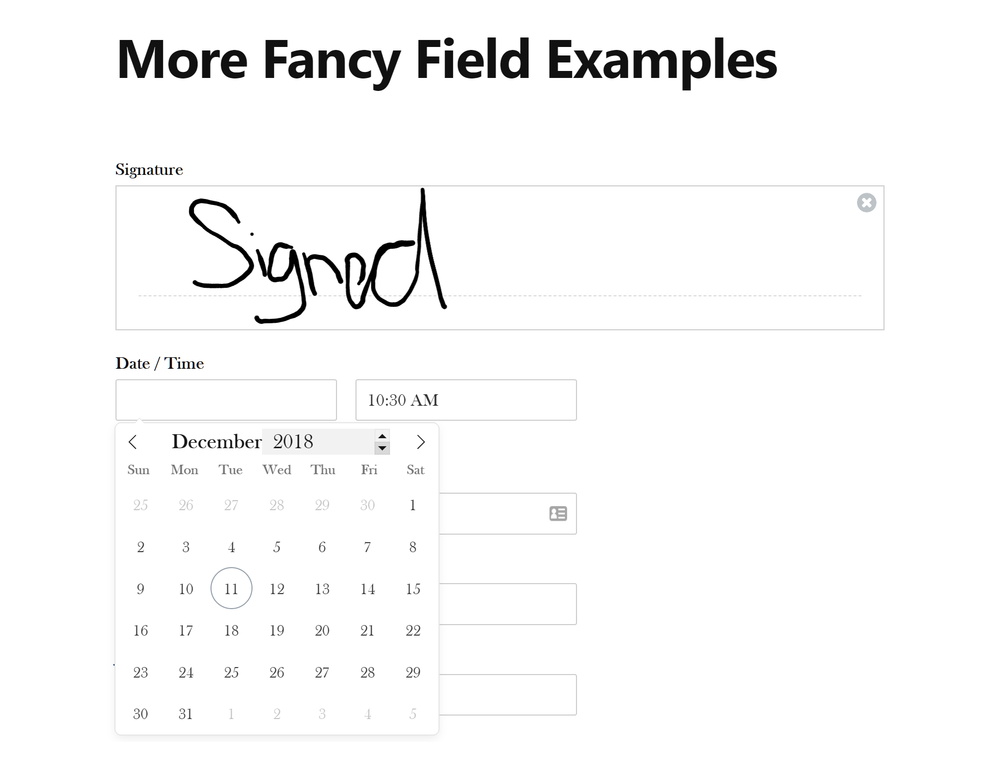 Signature and Date Picker Fields