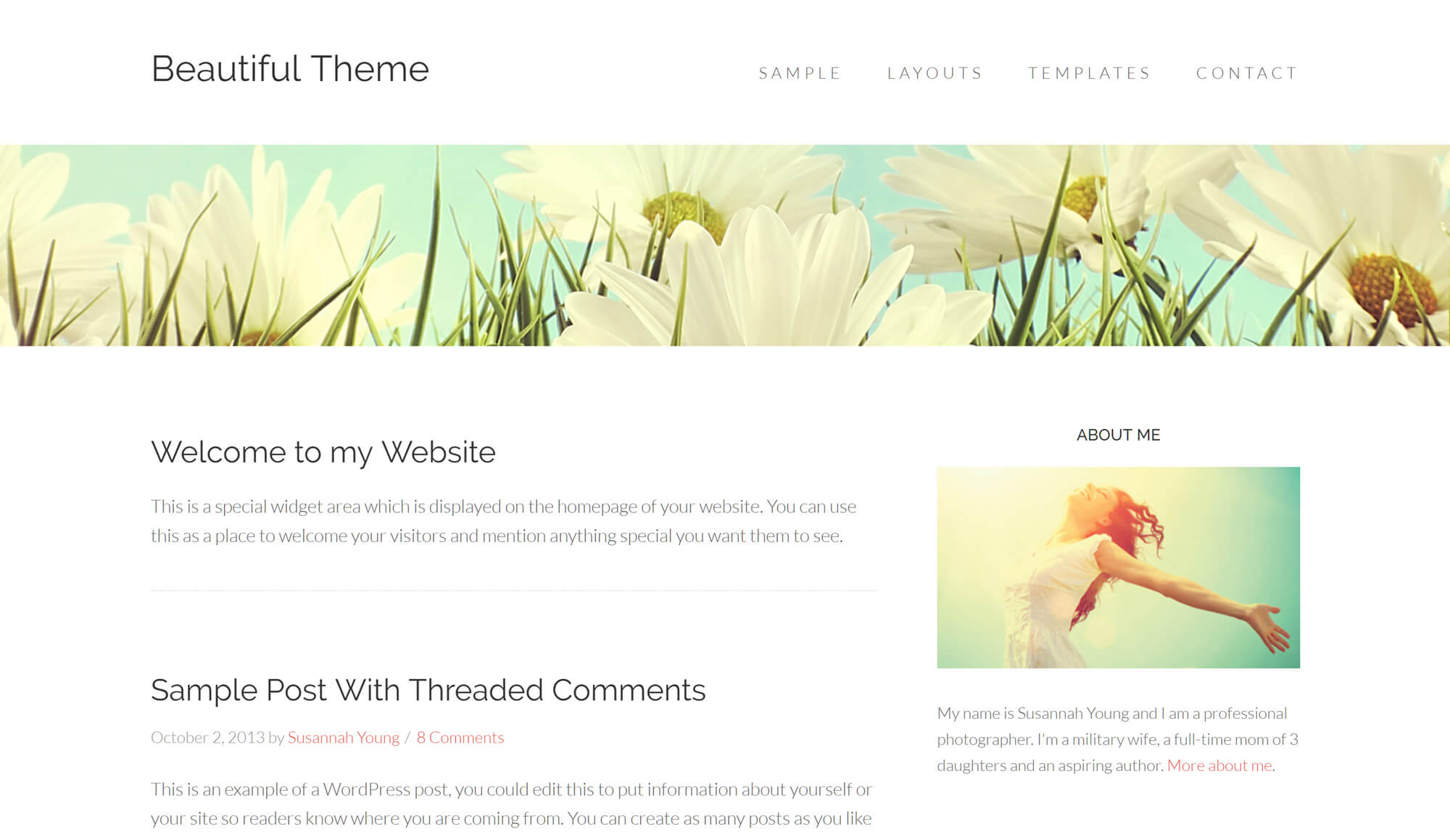 Beautiful Pro WordPress Theme