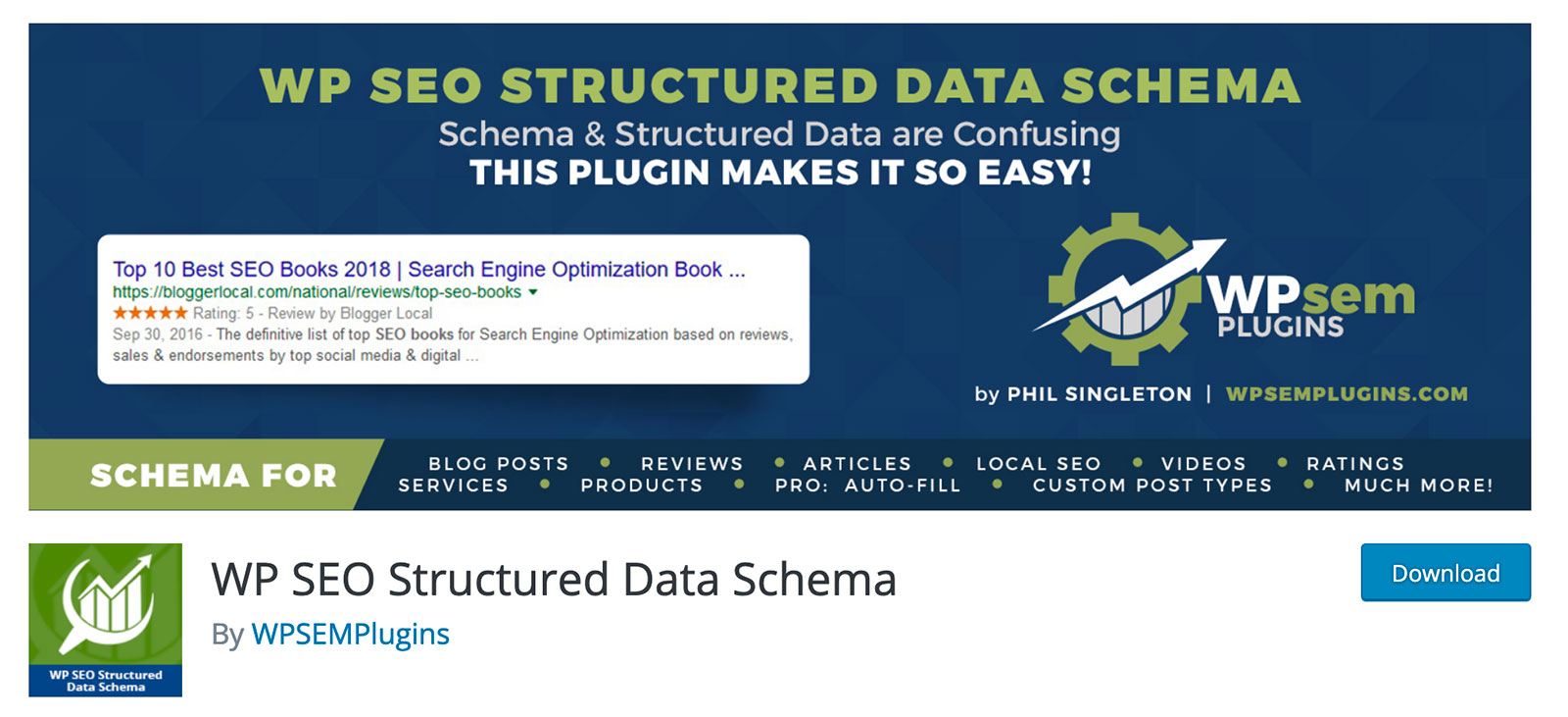 WP SEO Structured Data Schema