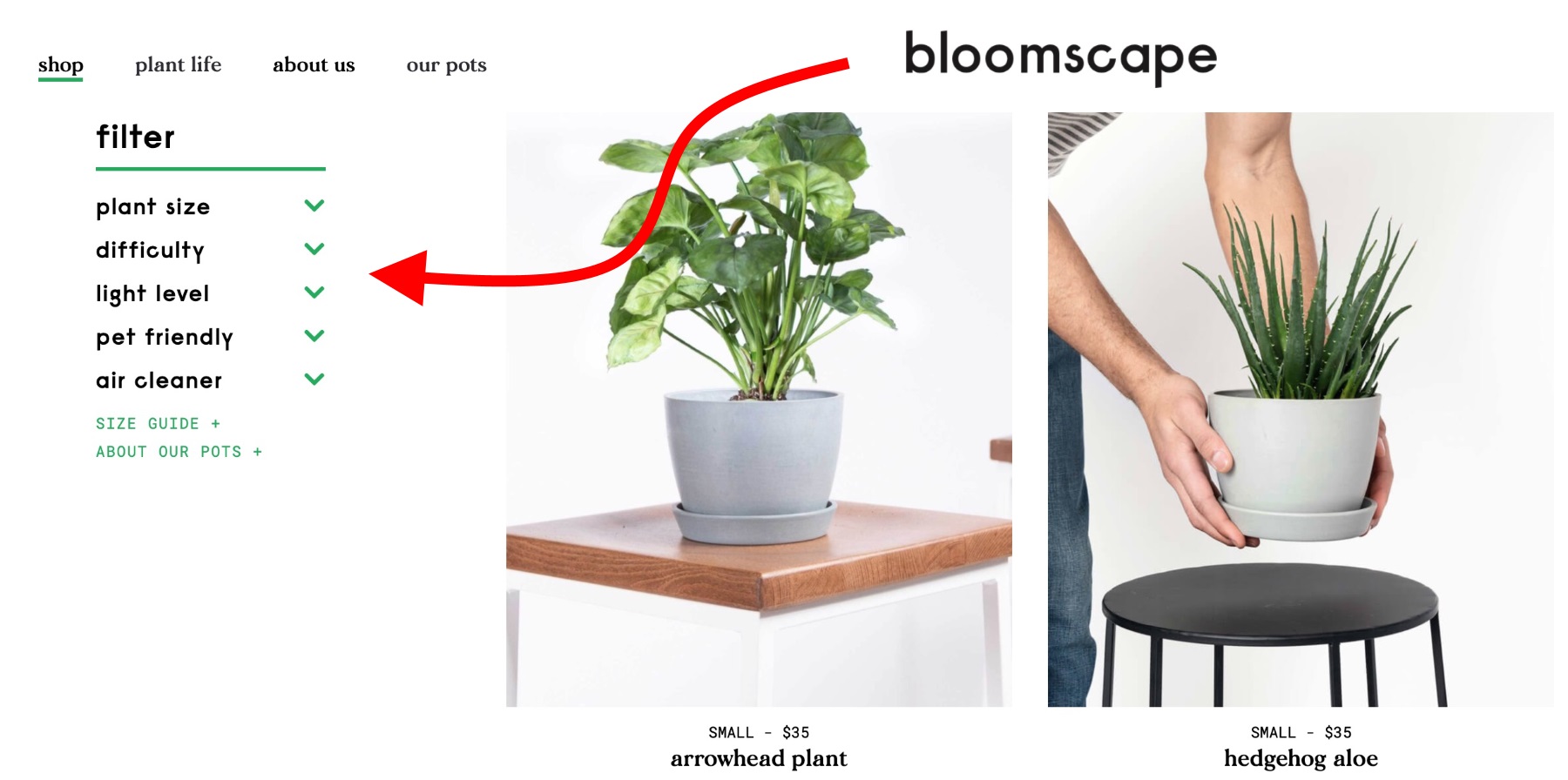 bloomscape catalog