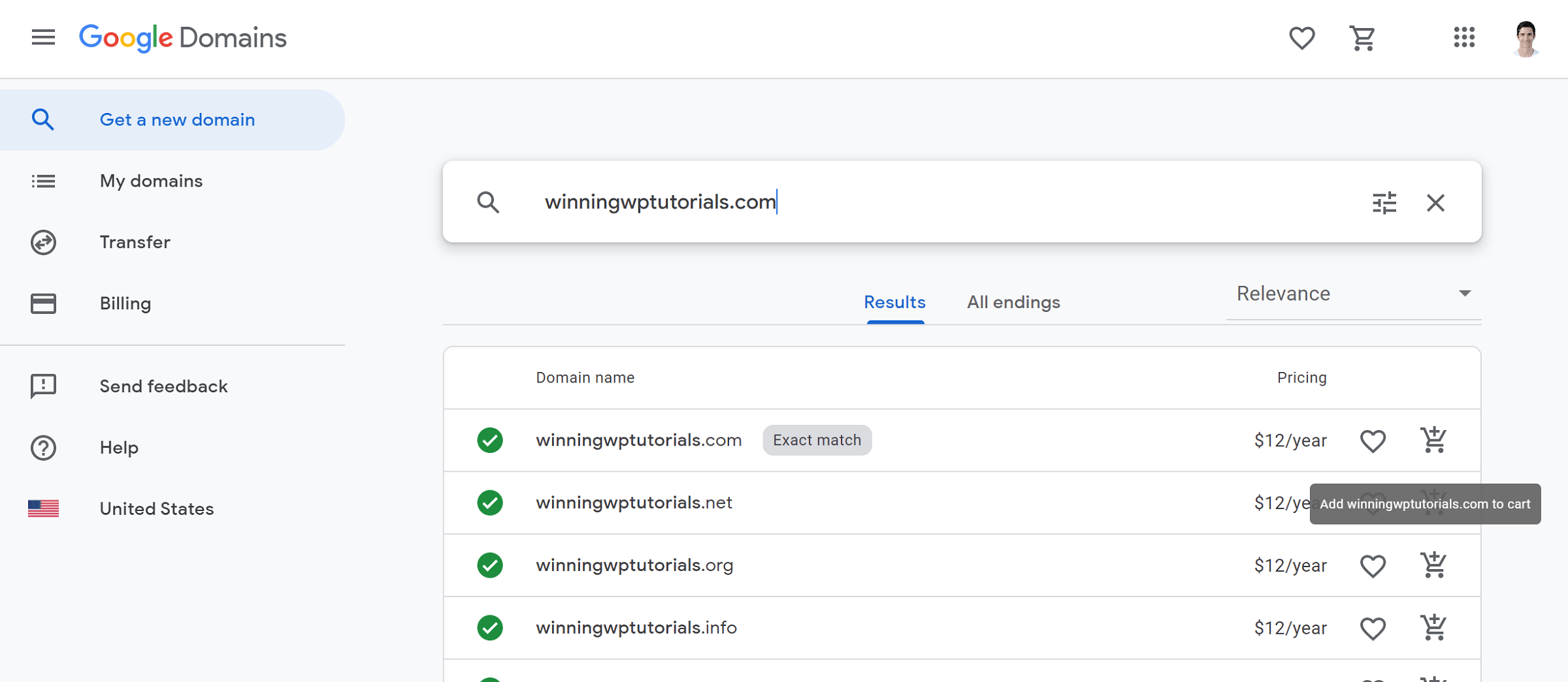 hostbuddy google domains