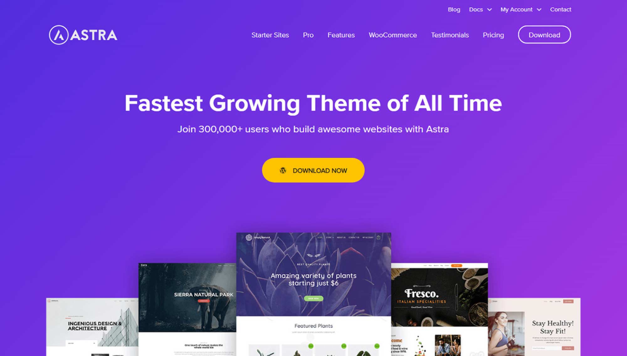 Astra WordPress Theme