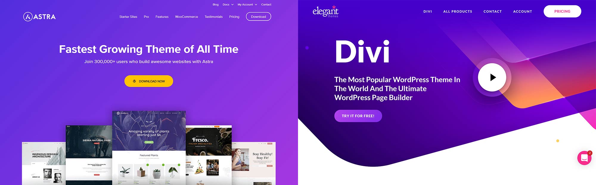 Divi vs Astra Theme Comparison