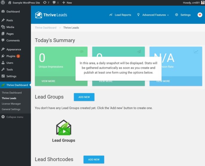 Thrive Leads dashboard