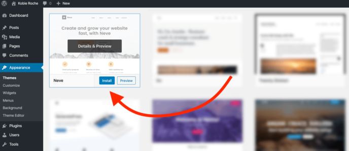 WordPress install a theme