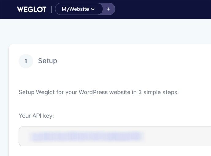 Weglot Account API Key