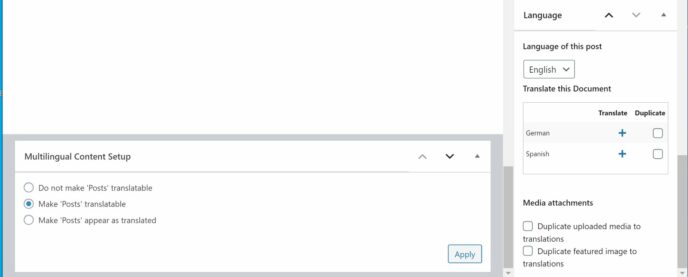 WordPress Post Language Settings