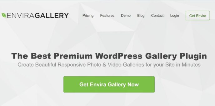 Modula vs Envira Gallery - Which Is The Best WordPress Gallery Plugin? 2