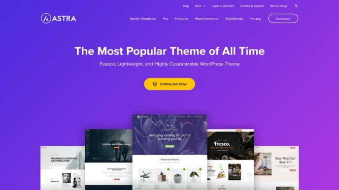 Astra Multipurpose WordPress Theme