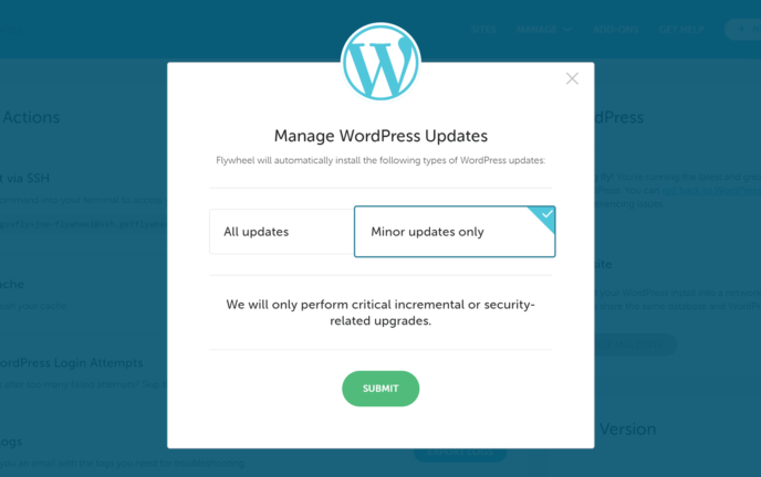 Flywheel Automatic WordPress Updates