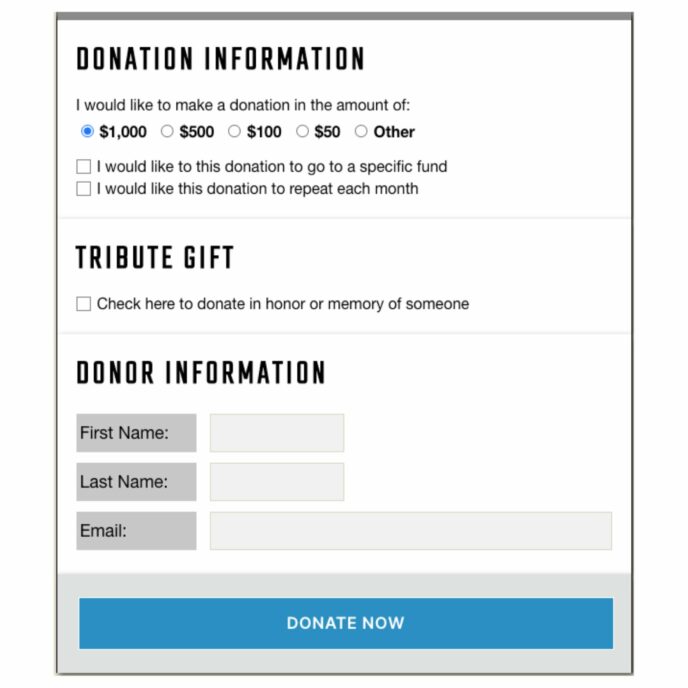 Seamless Donations Form