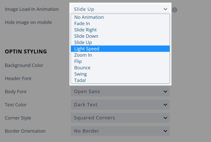 Form Animation Options