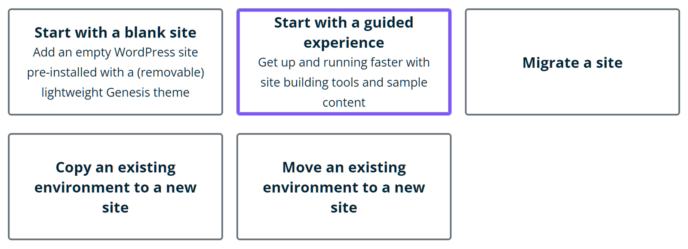 WP Engine New Site Options