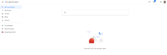 Google Domains domain name search