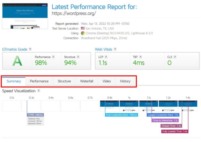 The advanced analysis options in GTmetrix